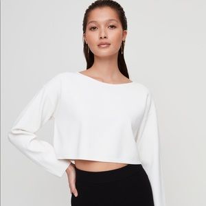 Aritzia Hessy sweater